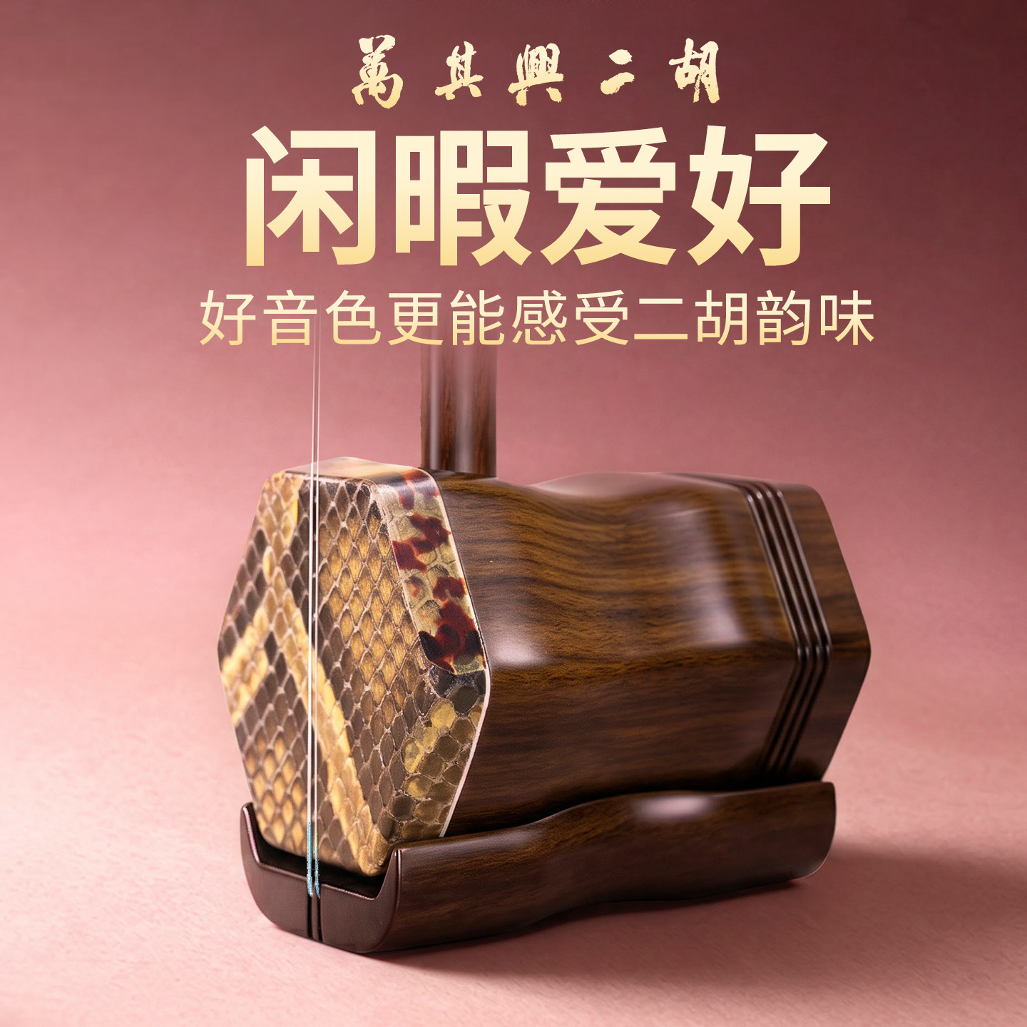 万其兴二胡乐器初学者入门老年人小学生考级二胡十大名牌厂家直销