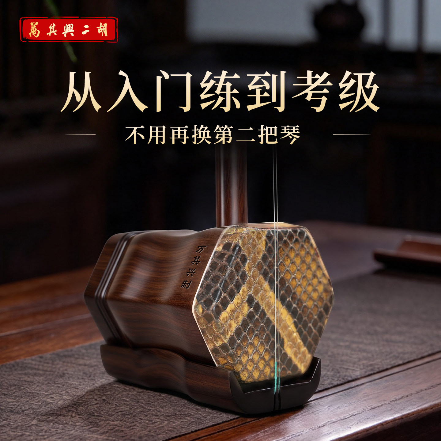万其兴二胡乐器初学者入门老年人小学生考级二胡十大名牌红木紫檀