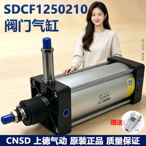 上德气动阀门气缸SDCF1250210NY