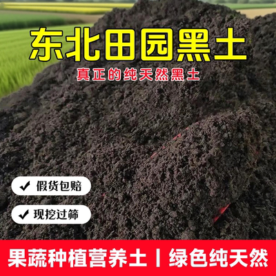 东北优质田园土黑泥土盆栽通用