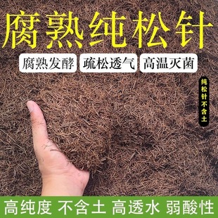 松针发酵腐熟无土纯松针天然垫材养兰花多肉君子兰专用营养腐殖土