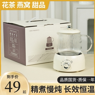 养生壶办公室小型迷你电炖杯女士一人养生杯家用多功能保温煮茶壶