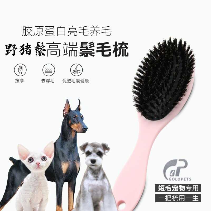 金派滋野猪鬃毛短毛犬猫柄梳亮毛
