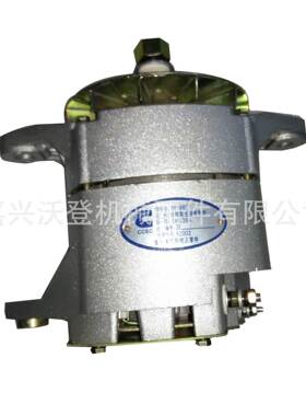 24V 35A发电机4060811 4913675 3016627用于康明斯