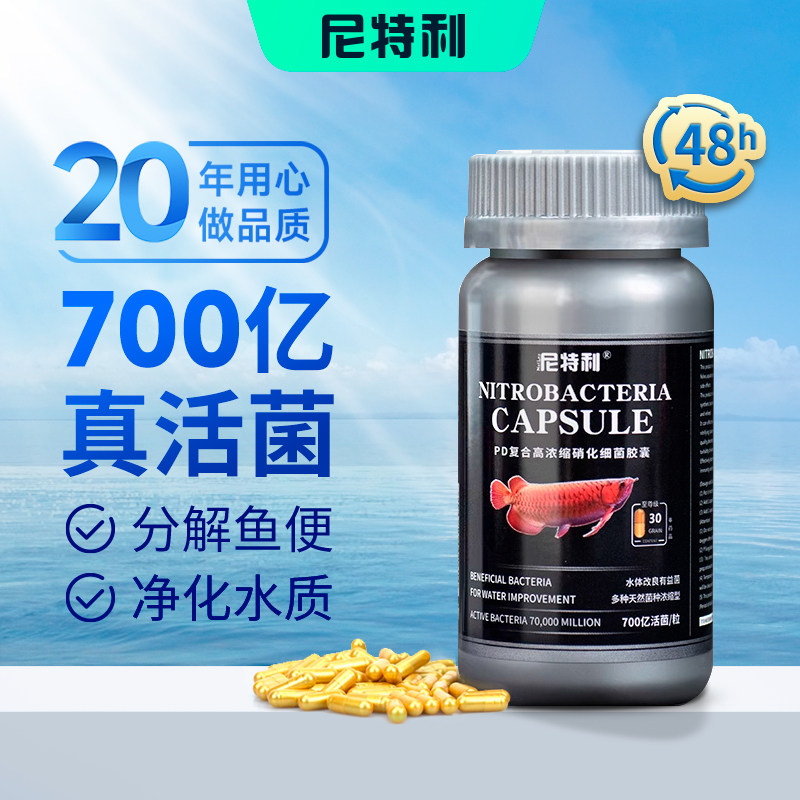 尼特利高活性硝化细菌分解鱼便