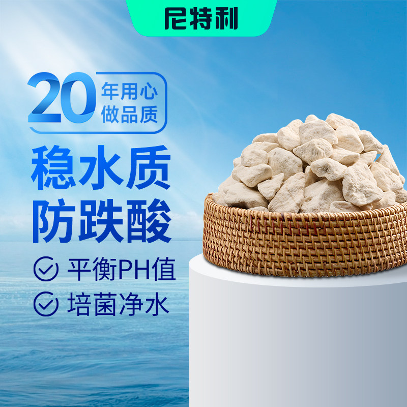 尼特利珊瑚基石生态鱼缸造景石小珊瑚骨滤材保ph值水族过滤净化石 - 实物图