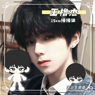 王橹杰属性15cm捶捶体换装玩偶棉花娃娃TF四代周边生日礼物