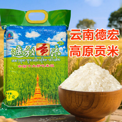 云南特产德宏芒市好吃遮放大米