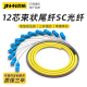 12芯束状尾纤方头SC束状尾缆跳纤电信级单模光纤12芯sc束纤方口光纤线分纤箱熔接彩色线 晋航