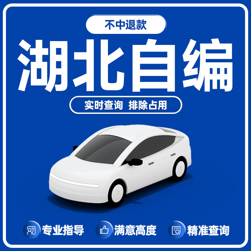 湖北武汉新能源选号汽油车12123自编排除占用数据库查询号码