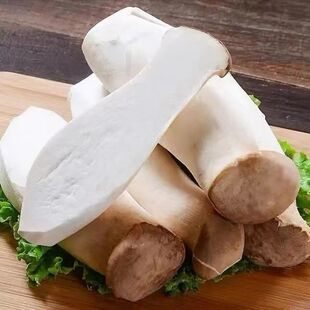 江苏淮安杏鲍菇鸡腿菇火锅炒菜烧汤健康营养好吃新鲜现摘现发