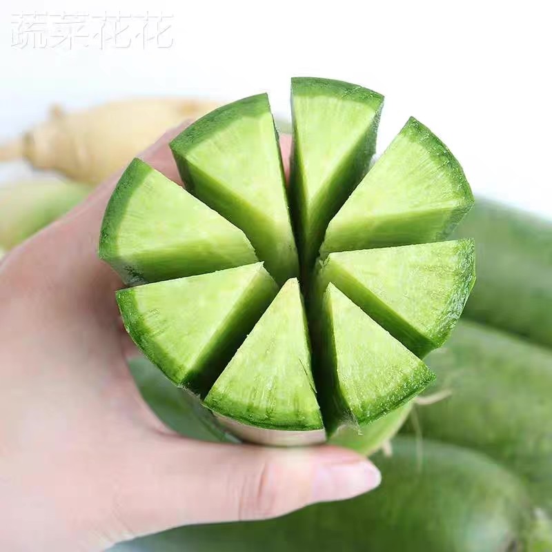 江苏特产果林紫芽青萝卜脆甜爽口新鲜脆甜水果萝卜,水产肉类/新鲜蔬果/熟食,萝卜/胡萝卜,淘宝优惠券,粉丝福利购,淘宝优惠卷