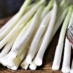 【顺丰包邮带壳现摘】淮安蒲菜现摘现发淮安蒲菜原生态炒菜烧菜