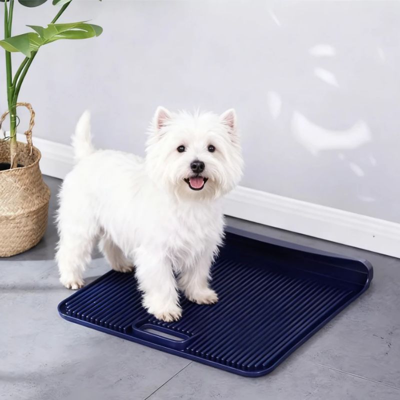 蓝色宠物狗厕所小型犬幼犬专用公狗立柱可冲洗免尿垫防踩屎不湿脚