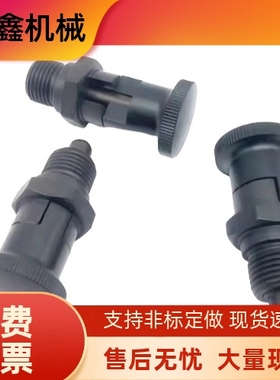 分度销 自锁型ZAY11 12 13 14-M10 M12 M16 M20