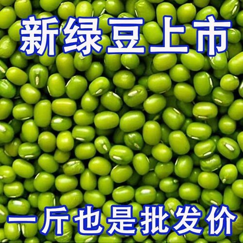 东北农家新鲜绿豆可发芽3斤