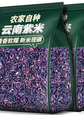 【5斤特惠】云南特产正宗墨江紫米新货新米农家紫色糯米批发商用