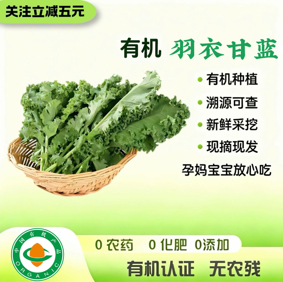 有机认证 有机羽衣甘蓝 新鲜无农残蔬菜现摘 可榨汁生吃 健身食疗
