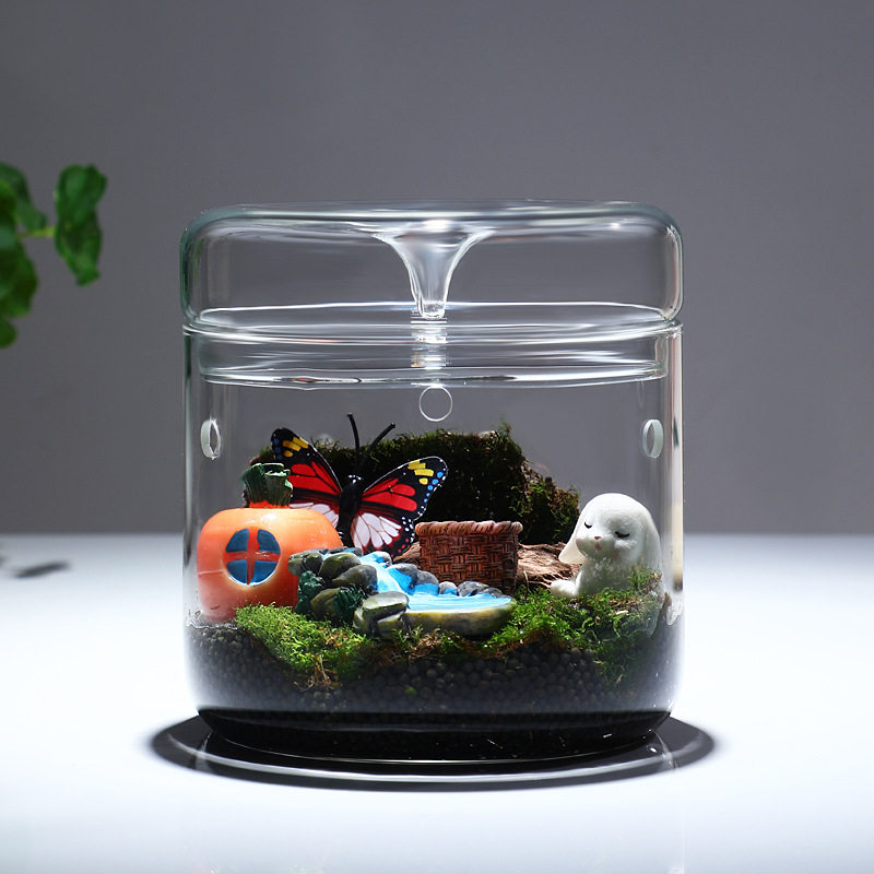 桌面玻璃微景观露集杯植物闷养瓶