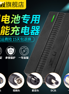 锂电池充电器54.6V48V3A4A5A2A10A滑板车单轮车哈雷电动车改装车