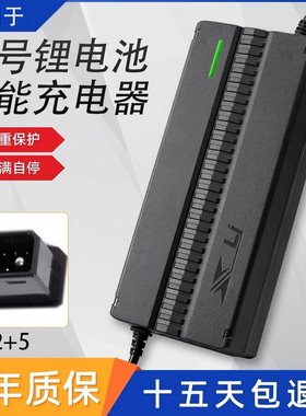 适用九号电动F35/F60/F90锂电充电器54.6V54.75V2A3A/5A/8A带动画