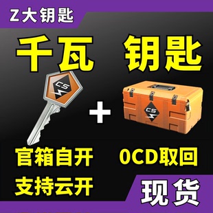 【现货秒发】CS2千瓦钥匙加武器箱子 支持手机云开 csgo尼泊尔Z大