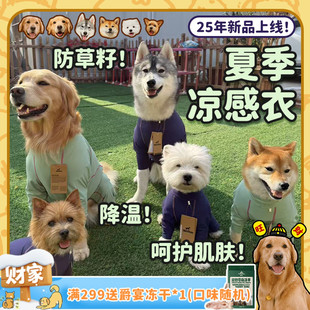 BlackDoggy夏天四脚凉感防晒服狗狗出行凉凉衣BD 25年新品 旺财