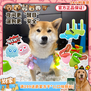 发光项圈LED夜光灯充电遛狗灯防走失 莱诺章鱼灯榛子吊坠 旺财