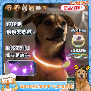 宠物狗 laroo莱诺 发光项圈 夜行灯防丢失 泰迪 户外遛狗 旺财