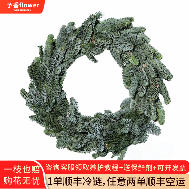进口诺贝松装饰圣诞节圣诞树diy花环圣诞礼物鲜花云南基地直发