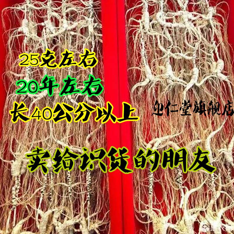 侼灵参秘灵草祕密蜜靈草灵阳参圭芽参邚参乪人参珍贵整棵野生