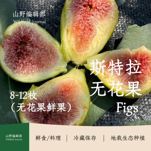 斯特拉无花果｜四川树上自然成熟鲜甜软糯当季现摘现发