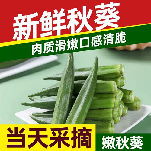 秋葵新鲜山东秋葵当季蔬菜羊角豆