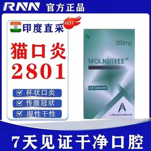 2801印度版进口猫咪杯状冠状口炎喵传腹口服胶囊干性湿性无痛方案