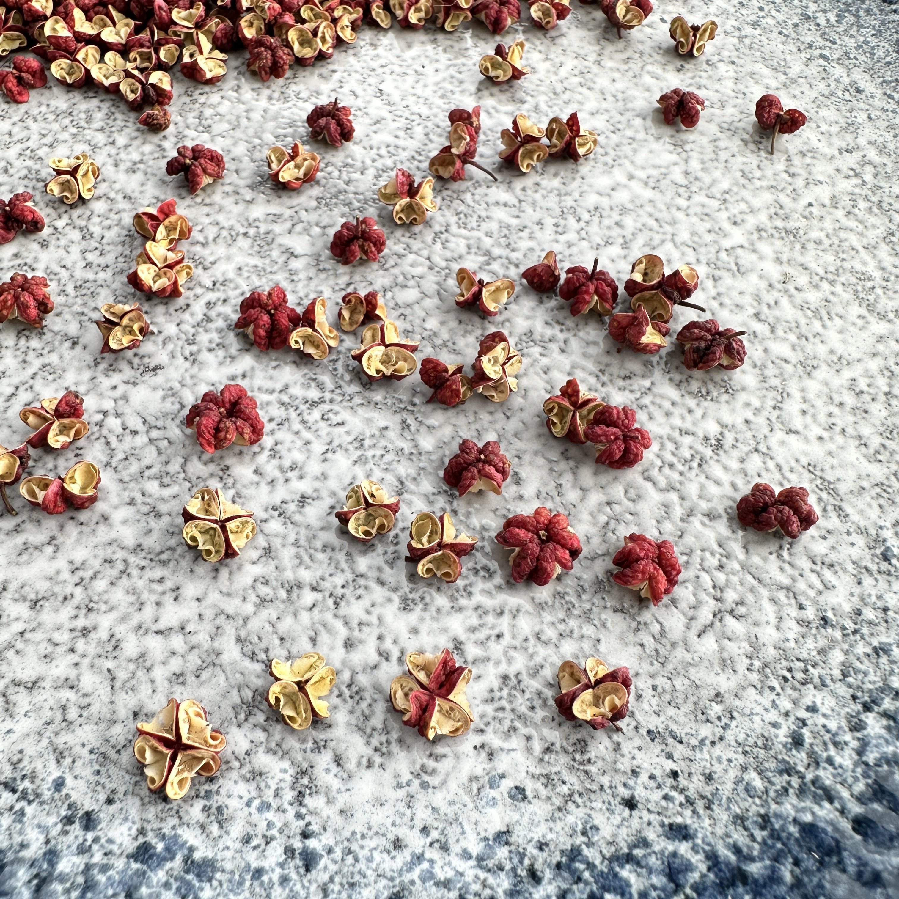 2025年新摘紫梅花椒甘肃天水甘谷六峰镇夏伏椒大红袍干红花椒颗粒,粮油调味/速食/干货/烘焙,香辛料/干调类,淘宝优惠券,粉丝福利购,淘宝优惠卷