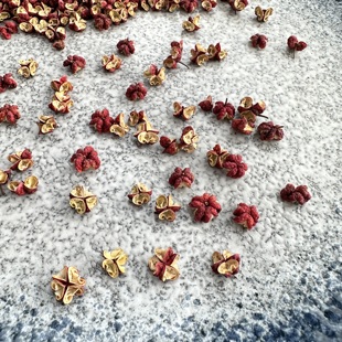 2025年新摘紫梅花椒甘肃天水甘谷六峰镇夏伏椒大红袍干红花椒颗粒