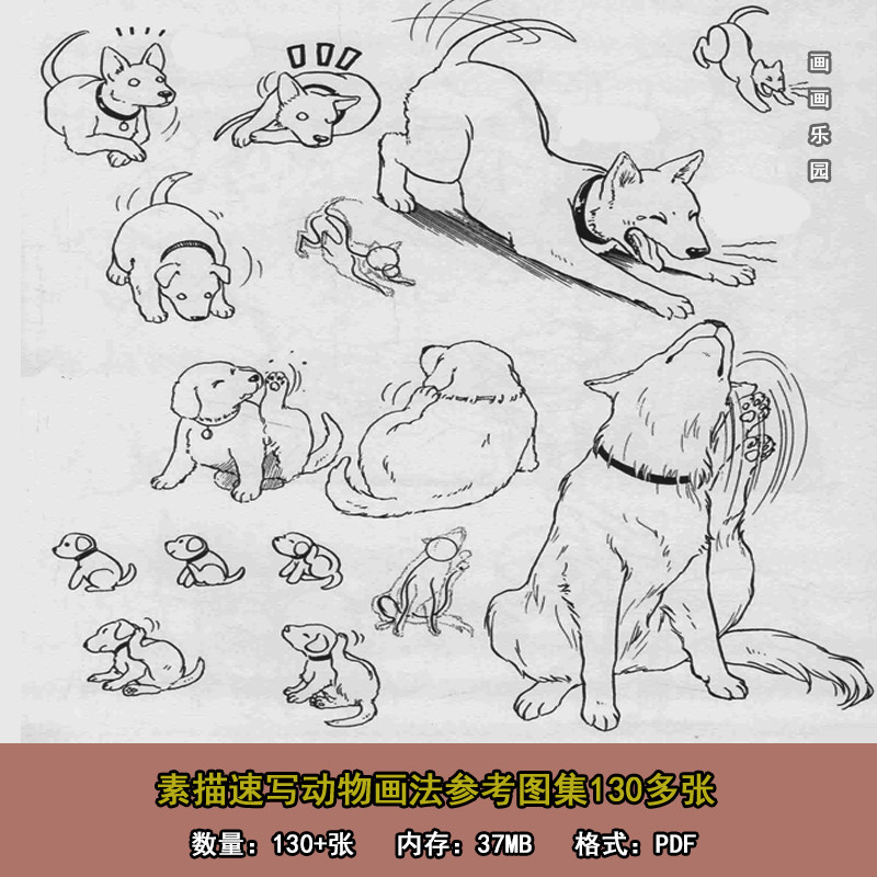 动物素描速写画法图集130多张设计素材/源文件