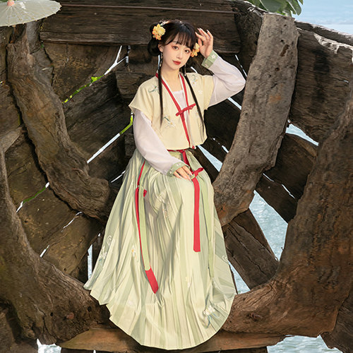 拾露原创改良唐制褙子一片式齐腰褶裙日常汉服女套装春秋