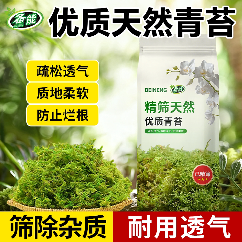 优质青苔藓蝴蝶兰花专用干水苔青苔藓营养土乌龟冬眠运输保湿透气