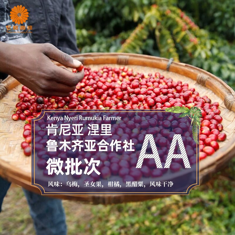 肯尼亚进口涅里鲁木齐亚合作社AA微批次咖啡生豆2025新产季包邮