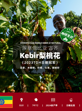 2024空运批次埃塞古齐Kebir梨桃花(2023TOH日晒冠军)精品咖啡生豆