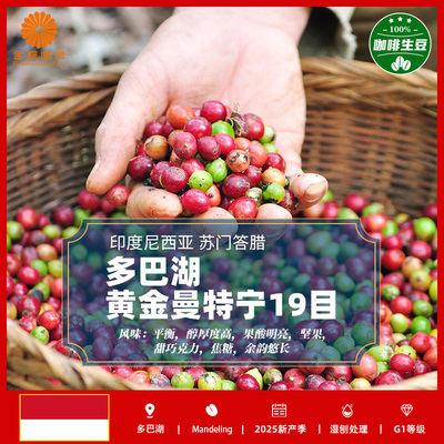 黄金曼特宁印尼进口咖啡生豆