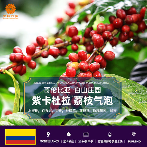 包邮哥伦比亚蒙特紫卡咖啡生豆