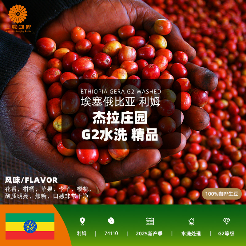埃塞俄比亚进口利姆杰拉庄园G2水洗精品咖啡生豆2025新产季