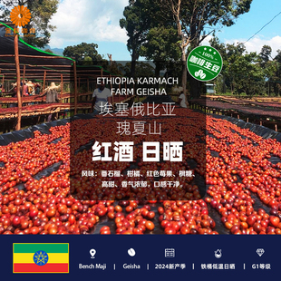 包邮埃塞俄比亚进口瑰夏山红酒日晒精品咖啡生豆2024新产季