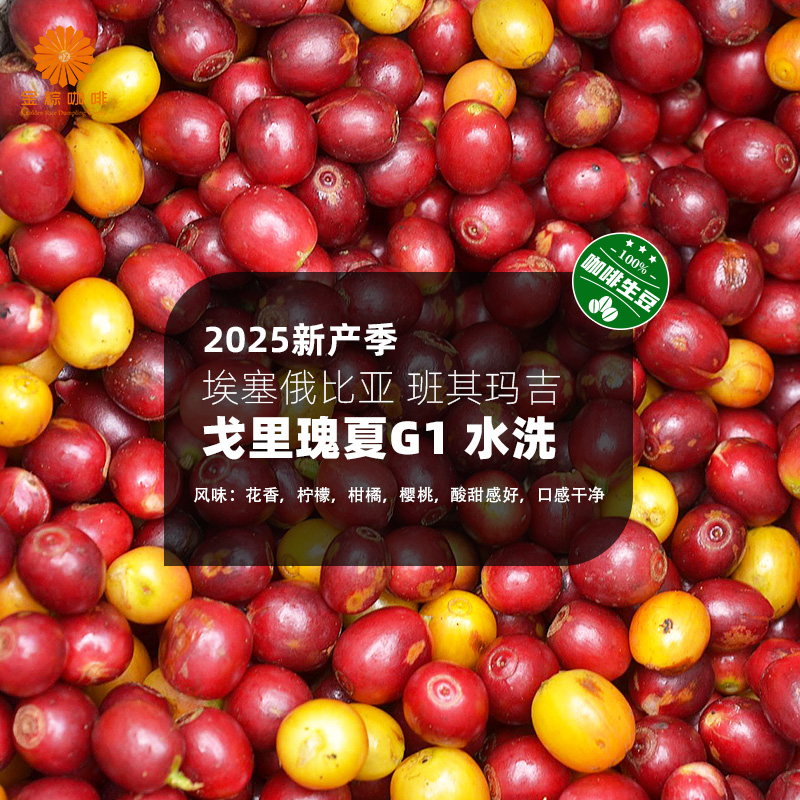 埃塞俄比亚进口班其玛吉戈里瑰夏G1水洗精品咖啡生豆2025新产季
