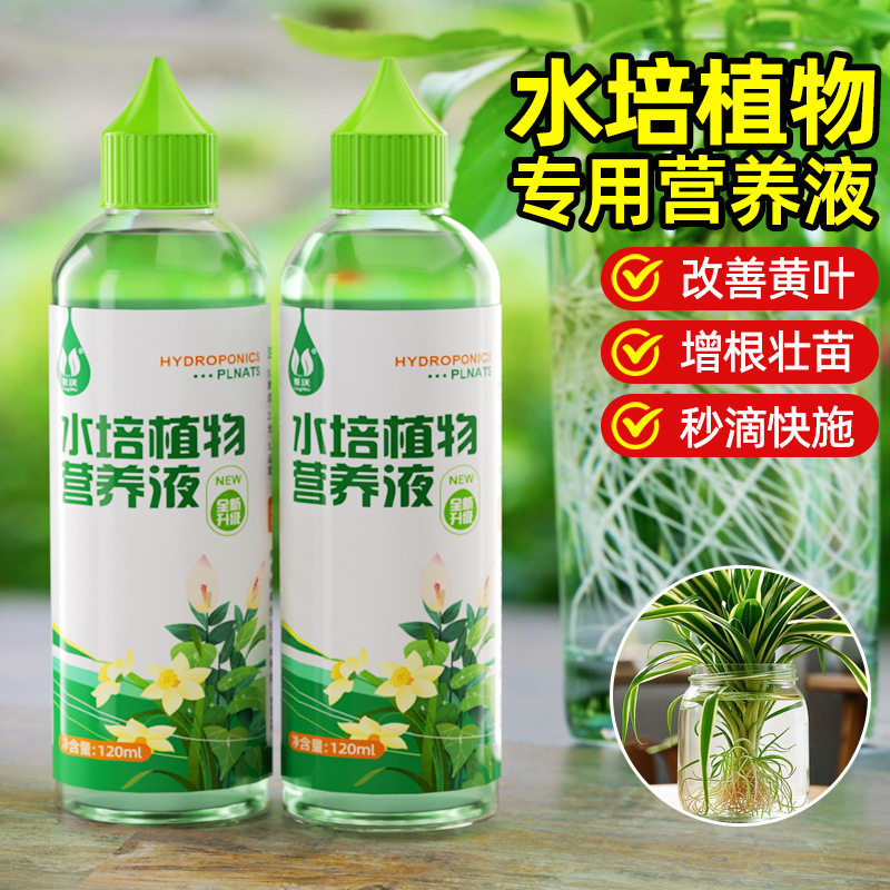 水培植物专用营养液富贵竹转运竹巴西木郁金香黄金葛铜钱草通用肥