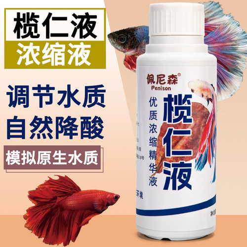 佩尼森榄仁叶浓缩液斗鱼