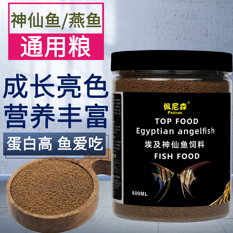 Penison/佩尼森埃及神仙鱼燕鱼