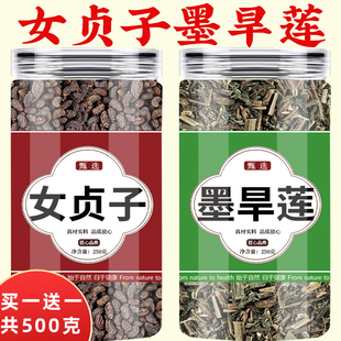 女贞子和旱莲草中药材正品组合二至丸墨旱莲中药茶包泡水茶菟丝子